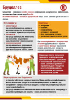 Профилактика бруцеллёза. Профилактика бруцеллёза.